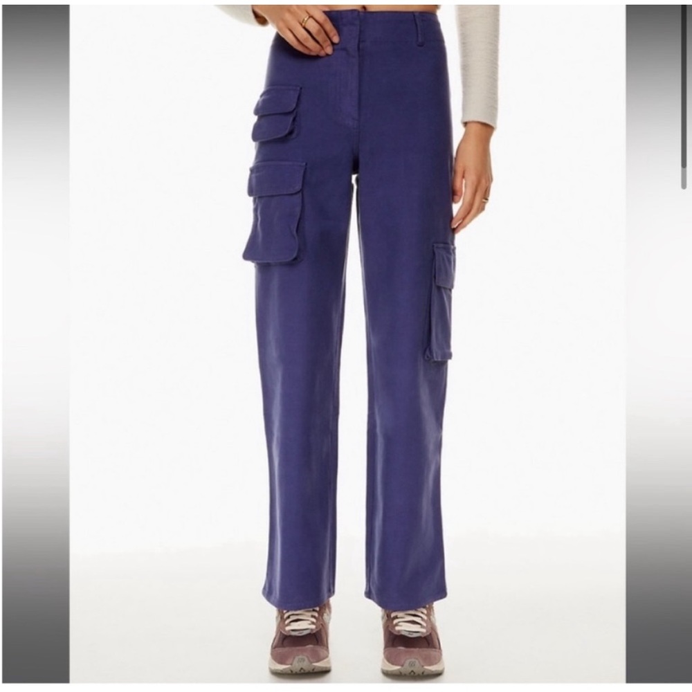 ✨Aritzia✨ Picture Cargo Pants